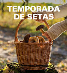 Temporada de setas