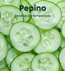 Pepino - Recetas de temporada