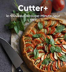 Cutter+