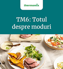 TM6: Totul despre moduri