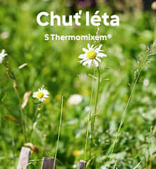 Chuť léta s Thermomixem®