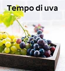 Tempo di uva