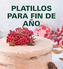 PLATILLOS PARA FIN DE AÑO