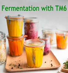 Fermentation with TM6