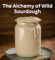 The Alchemy of Wild Sourdough