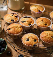 Blueberry Muffins