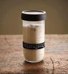 Sourdough Starter