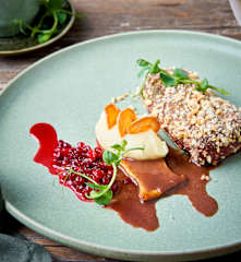 Filet de cerf, purée de panais et pommes de terre, chips de carottes, eryngii, canneberges