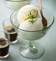 Limoncello Sorbet with Mint and Basil