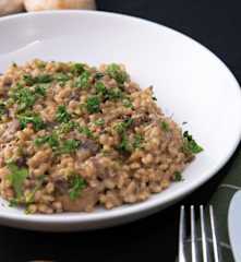 Byggotto med skogsopp