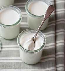 Plain Yogurt