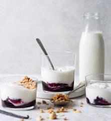 Vanilla Yogurt