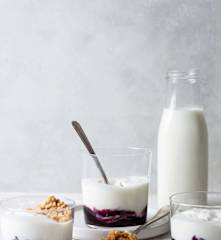 Vanilla Yogurt