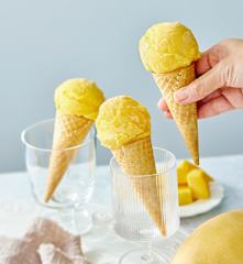 Mango Sorbet Mango Sorbet