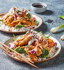 Korean Barbecue Chicken with Rice