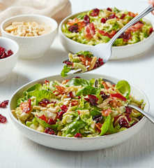 Brussel Sprouts Salad with Cranberries and Almonds