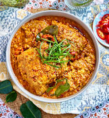 Nonya Chicken Rendang