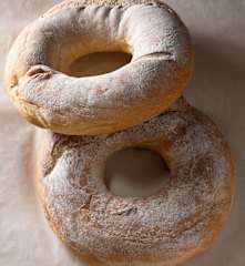 Pitta